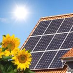 5 Effective Ways to Make Your Home Greener