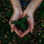 Photo by Noah Buscher on Unsplash
