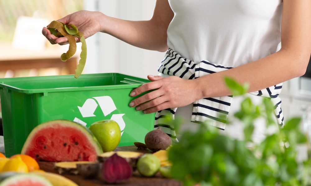 Easy Ways to Live an Eco-Friendly Lifestyle