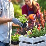4 Eco-Friendly Gardening Ideas