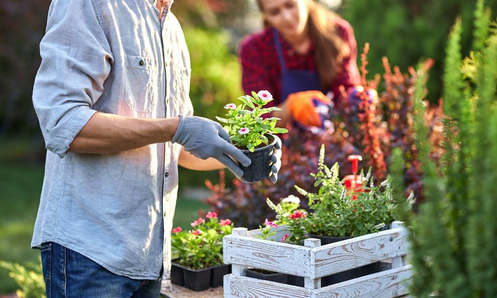 4 Eco-Friendly Gardening Ideas