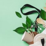 Benefits of Making Your Home Eco-Friendly