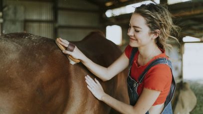 4 Interesting Hobbies for Animal Lovers