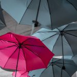 Photographed by Noah Näf via Unsplash