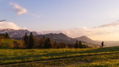 Image by Lukas Bieri from Pixabay