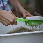 Photo by chatchawarn loetsupan from Pexels