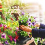 What Climate Change Means for Your Garden