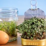 Easy Ways To Live More Sustainably