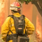 The Best Jobs for Environmentalists Fighting Climate Change