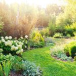 How to Prepare Your Garden for This Autumn
