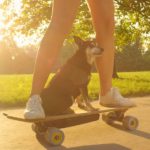 Current Trends Shaping the Future of Mobility