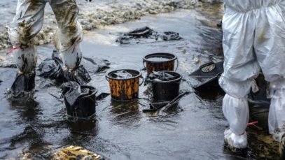 The Impact of Oil Spills on the Ecosystem