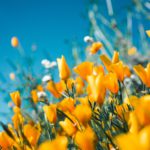 Photo by Sergey Shmidt on Unsplash