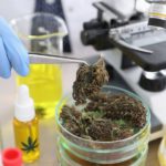 4 Biggest Challenges Facing the Cannabis Industry in 2022