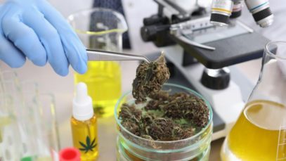4 Biggest Challenges Facing the Cannabis Industry in 2022