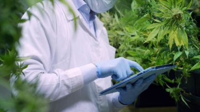 How To Select Quality Cannabis Equipment
