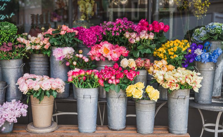 Establishing a Flower Shop: What You Should Know
