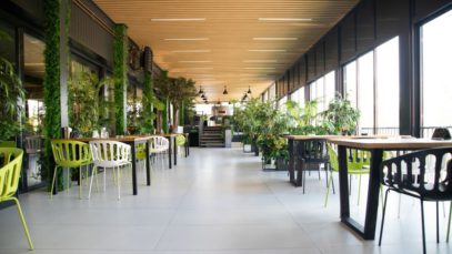How To Make Your Restaurant Eco-Friendly