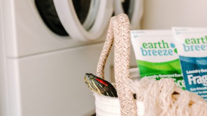 Photo by Brittney Weng on Unsplash