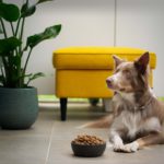 Photo by Ayla Verschueren on Unsplash