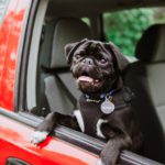 Photo by Priscilla Du Preez on Unsplash