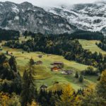 Photo by Tron Le on Unsplash
