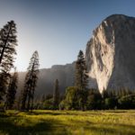 Photo by Adam Kool on Unsplash