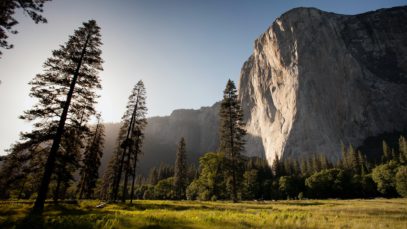 Photo by Adam Kool on Unsplash