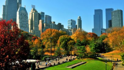 Why Complying With the DEP Is Important for NYC Residents
