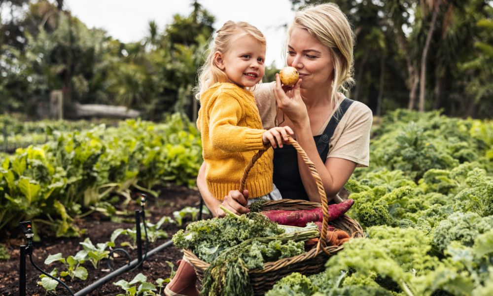 How Dietary Choices Affect the Environment