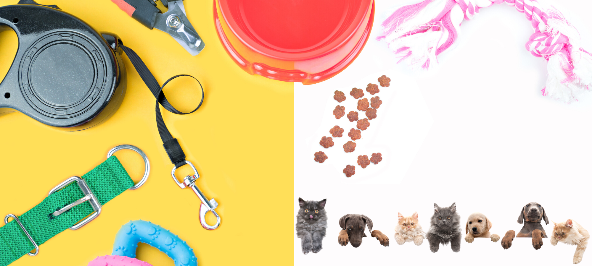 8 Must-Have Budget Pet Products For Your Furry Friend