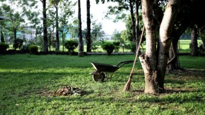 Photo by Nagesh Badu on Unsplash