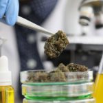 3 Reasons To Start a Cannabis Testing Lab