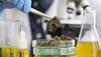 3 Reasons To Start a Cannabis Testing Lab