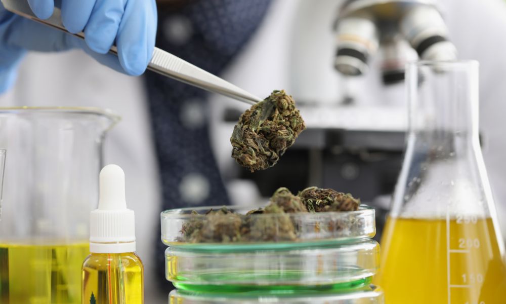 3 Reasons To Start a Cannabis Testing Lab