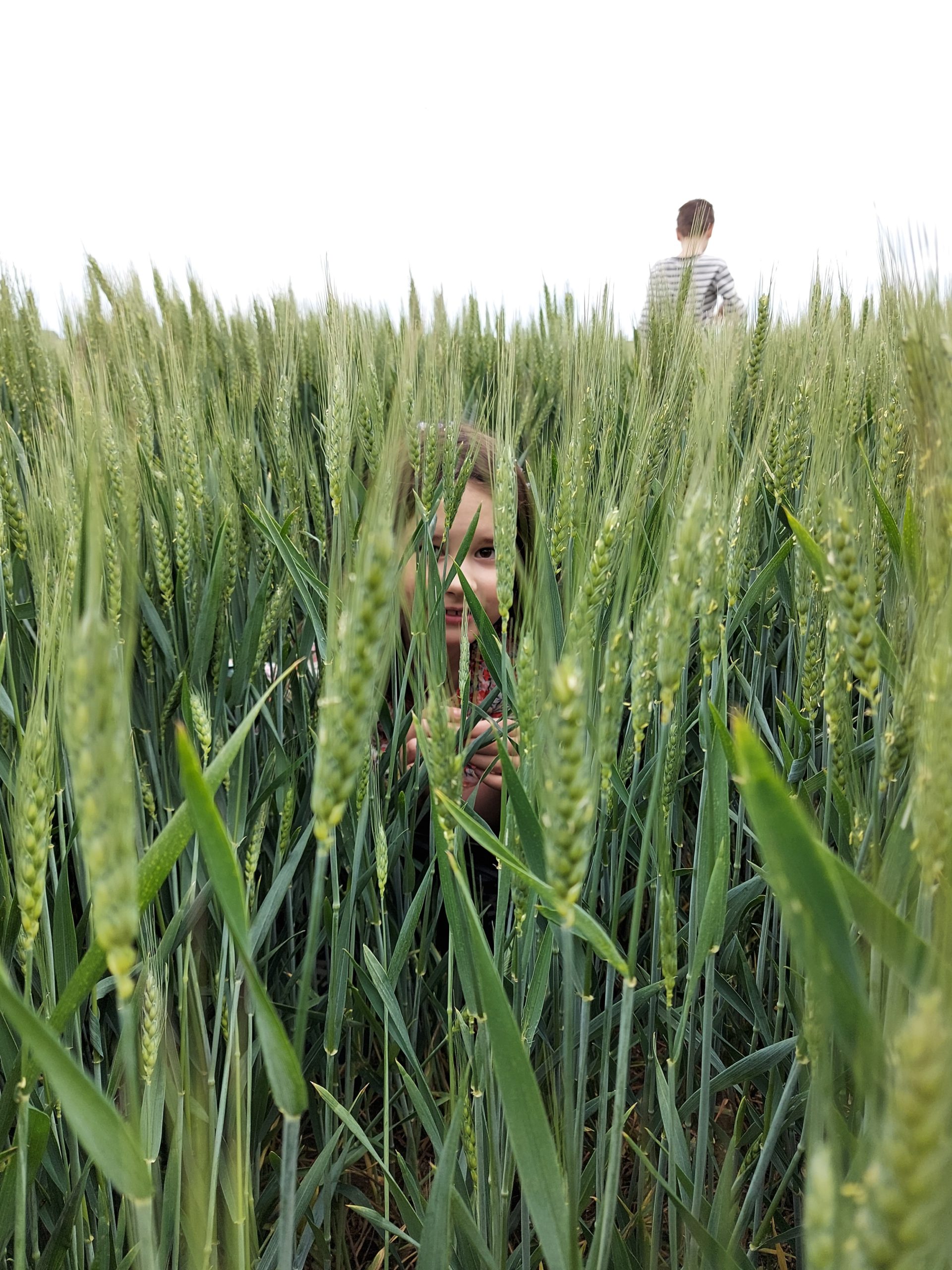 man and woman standing on green grass field during daytime